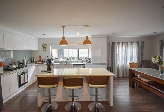 54a Olsen Avenue Hillsborough_3