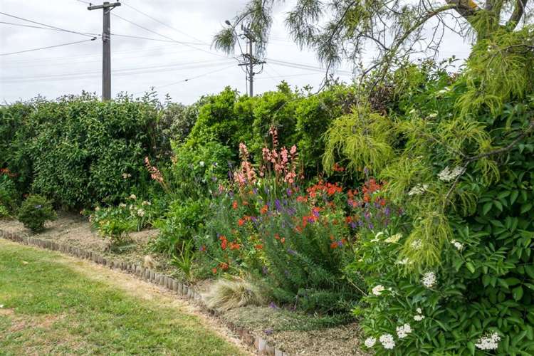 202 Scott Street Redwoodtown_15