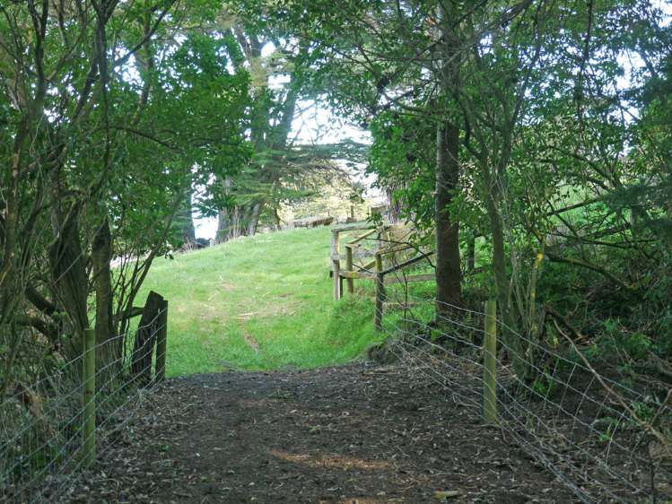 930 Highcliff Road Highcliff_6