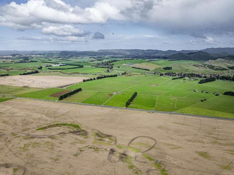 State Highway 2 Takapau_5