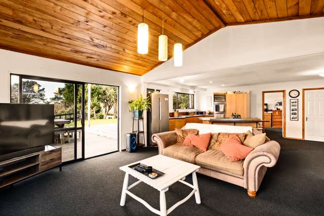 95 Wharekauri Road Mimi_4