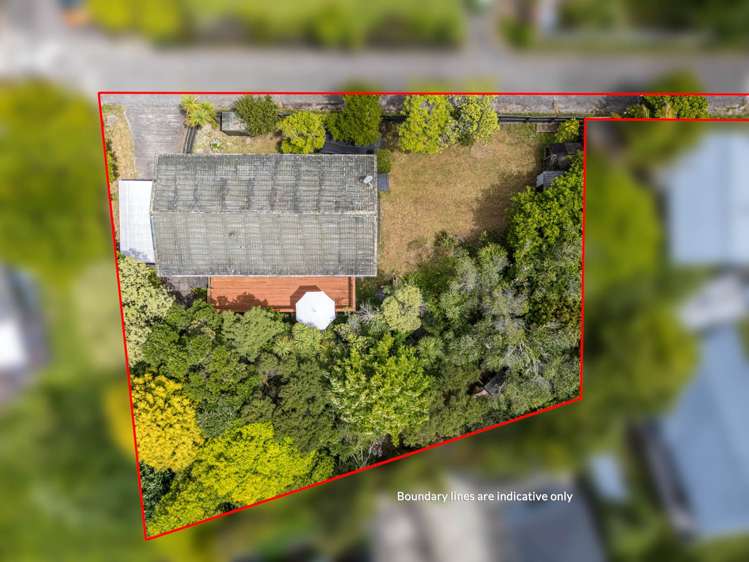 55 Terra Nova Street Glen Eden_16