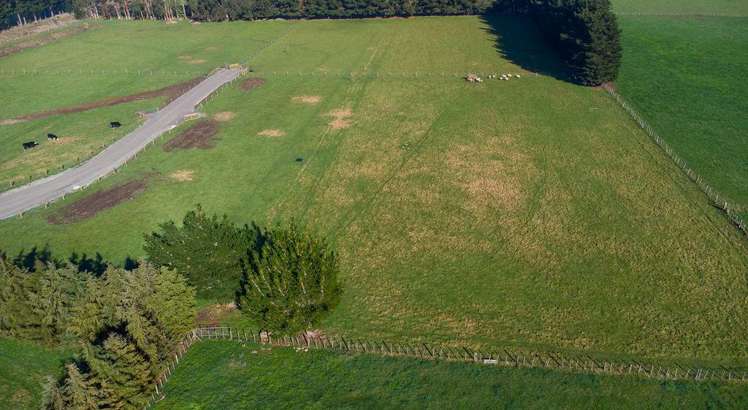 35 Laws Road Dannevirke_9