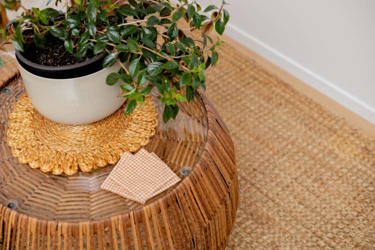 24/436 Maunganui Road Mount Maunganui_10