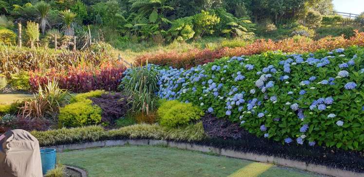 2G Country Club Lane Waiuku_24