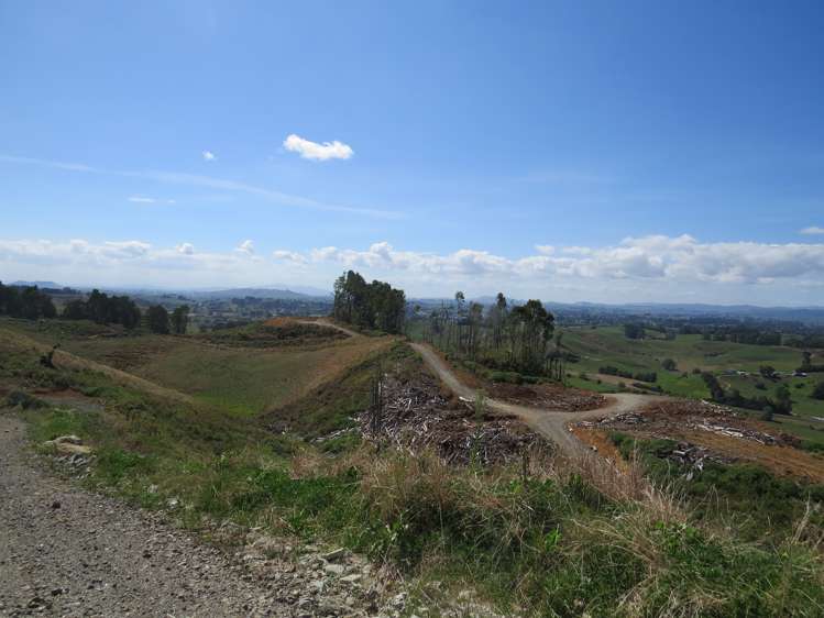 Waitomo Valley Road Otorohanga_24