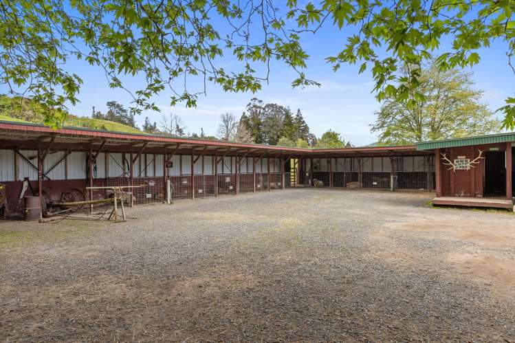 McLaren Falls Road Omanawa_6