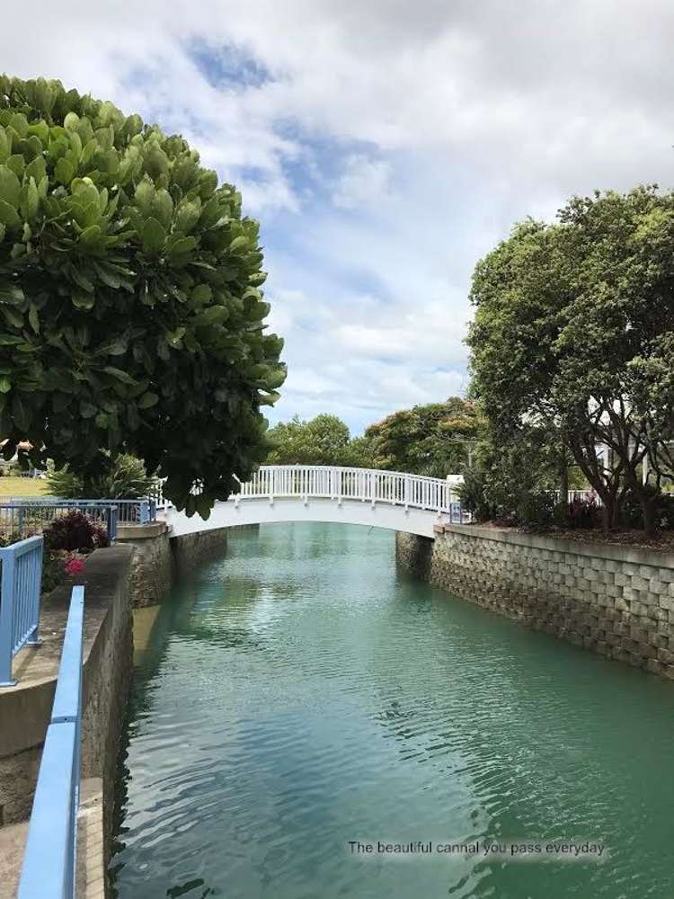 41 Bella Vista Drive Gulf Harbour_8