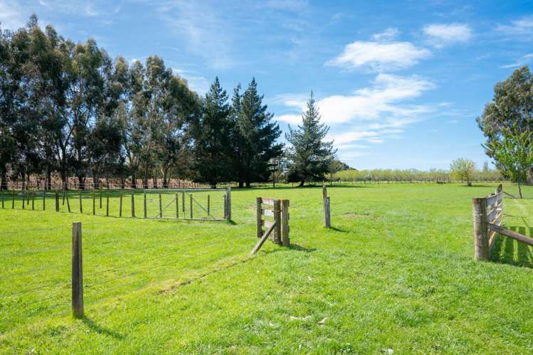 466 Te Aute Road Havelock North_30