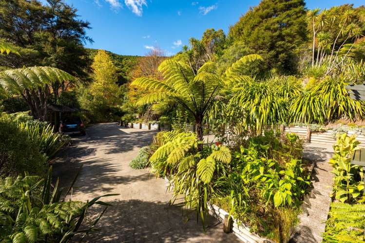 259 Queen Charlotte Drive Havelock_20