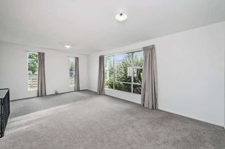 4 Queen Street Springfield_8