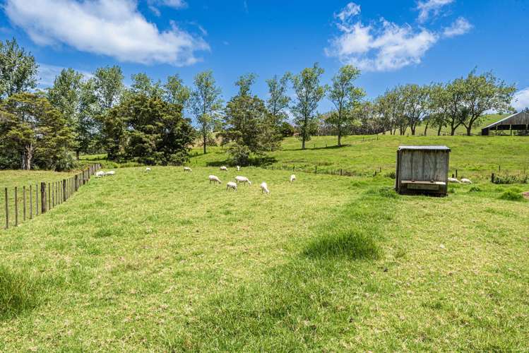 35 Thorburn Road Ruatangata_28