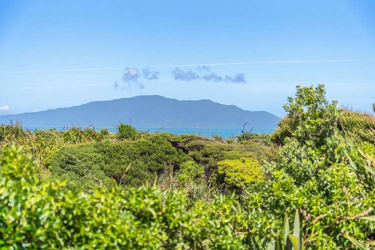 289 Peka Peka Road Peka Peka_11