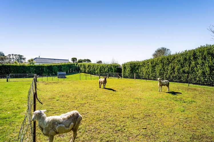 1108c Egmont Road Egmont Village_26