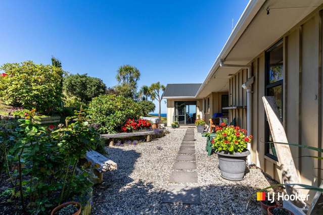 41 Mcintosh Road Brighton_3