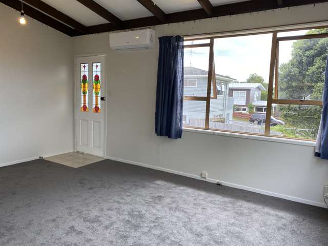 8A Windsor Place Mairangi Bay_2