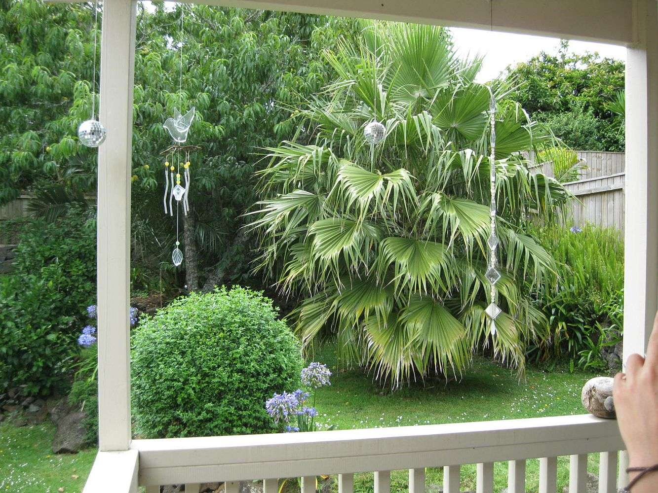 17A Verona Avenue Mount Albert Auckland City Houses for Rent