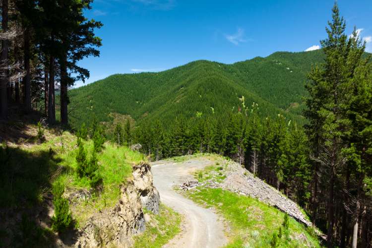 Waihopai Valley Road Waihopai Valley_13