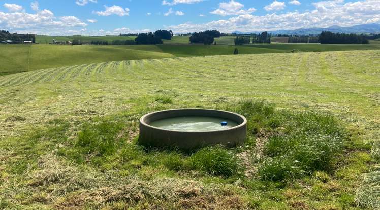 178 Smaills Road Gore Surrounds_14