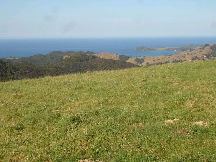 361 Kaiikanui Road Hukerenui and Surrounds_5