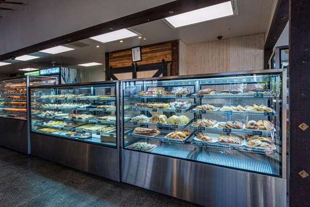 Established business, multi-million dollar annual sales, excellent profit margins.   