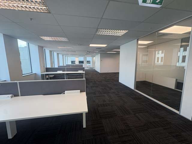 B/18 Normanby Road Mt Eden_4