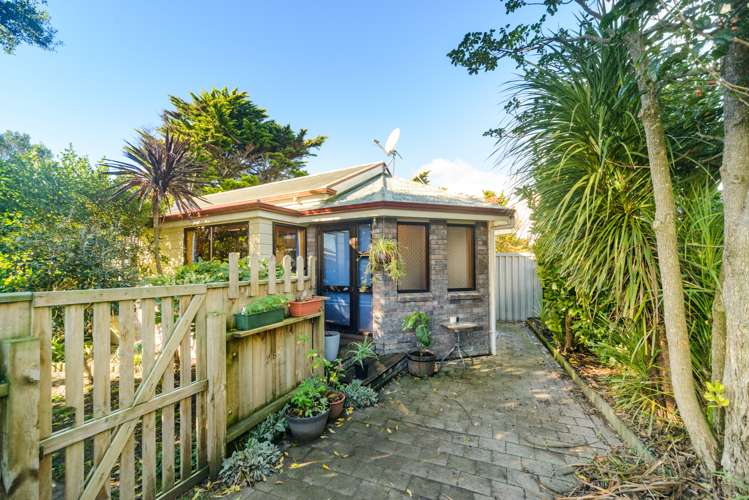14a York Place Awapuni_22
