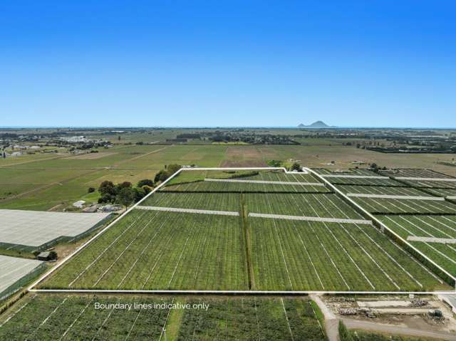 34 Puti Kaewa Lane Edgecumbe_4
