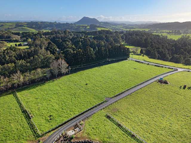 143 Apotu Road Kauri_3
