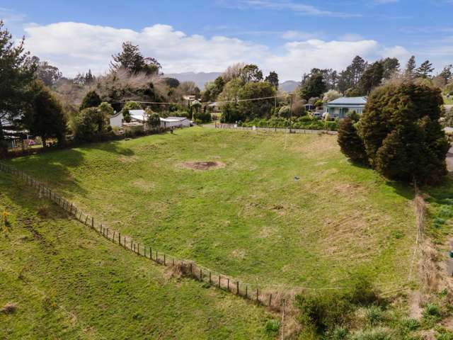 81 Victoria Street Waikino_1