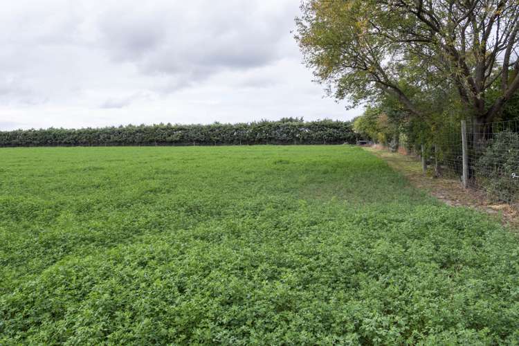 22 Levels Plain Road Levels_15