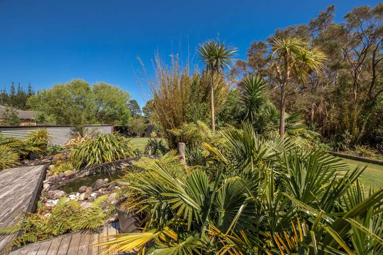 26 Banbury Street Waimangaroa_18