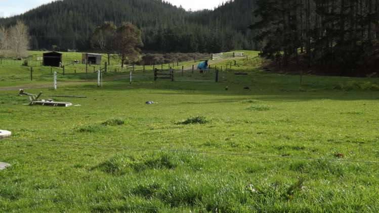 232 Tavinor Road Otaika_13