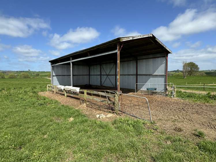 260 Maihiihi Road Maihiihi_16