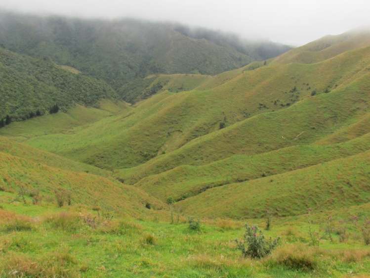 629 Tamaki East Road Rangitikei Surrounds_9