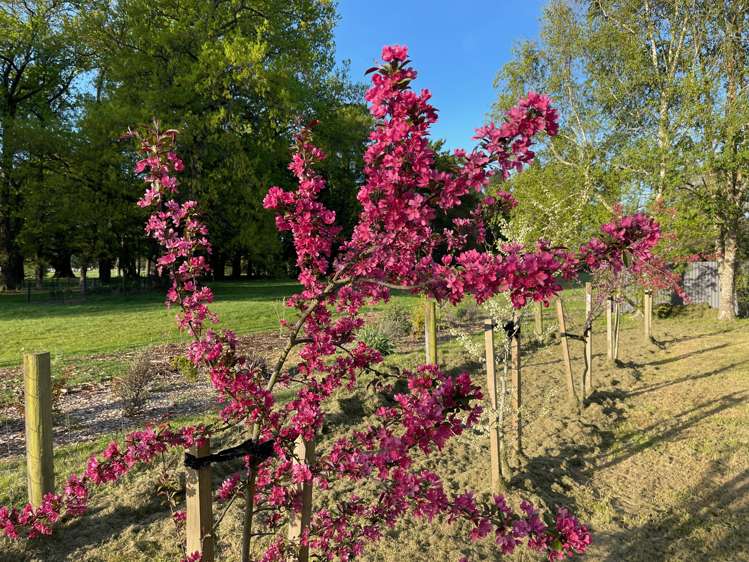 96 High Street Oxford_16