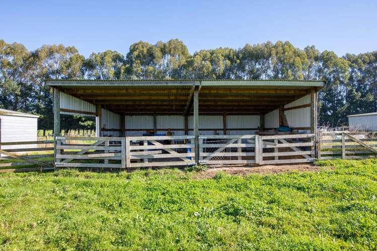 120 Okarae Road Rangitikei Surrounds_24
