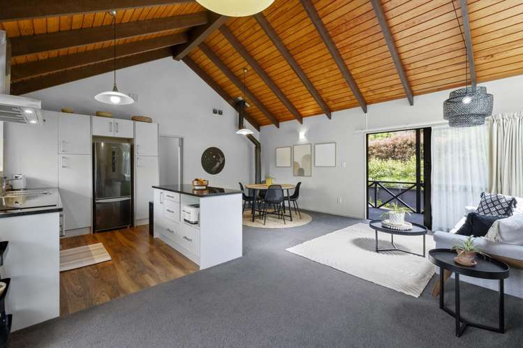 19 Thames Street Welbourn_2