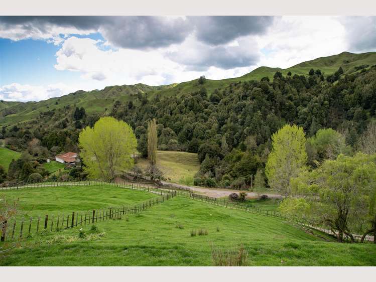 368 Kirikau Valley Road Ruapehu_2