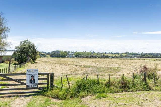 Prime Bare Land Opportunity in Dargaville