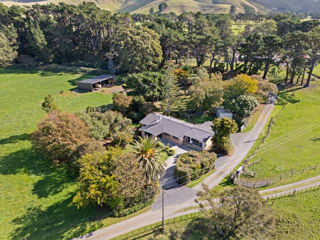 620 Western Lake Road Featherston_1