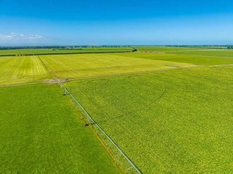 1372 South Two Chain Road Dunsandel_14