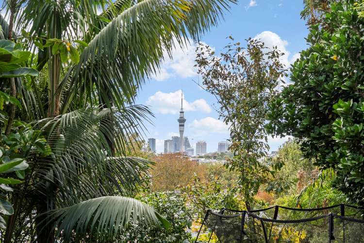 552 Richmond Road Grey Lynn_28