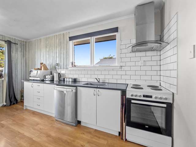 58 Grove Street Tinwald_2