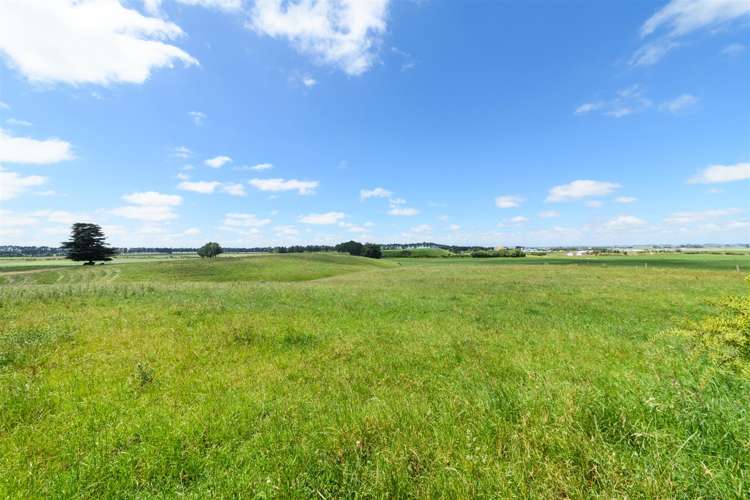 56 Wightman Road Sanson_5