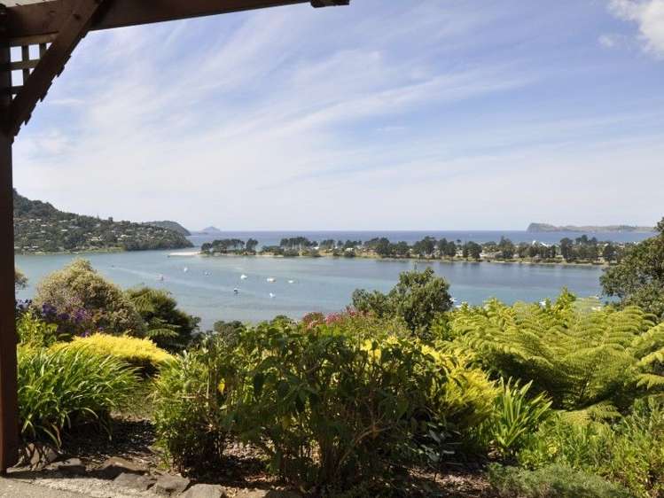 9 Pine Grove Tairua_1