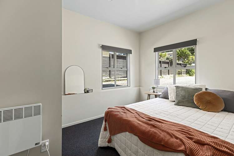 8/25 Mana Street Vogeltown_8