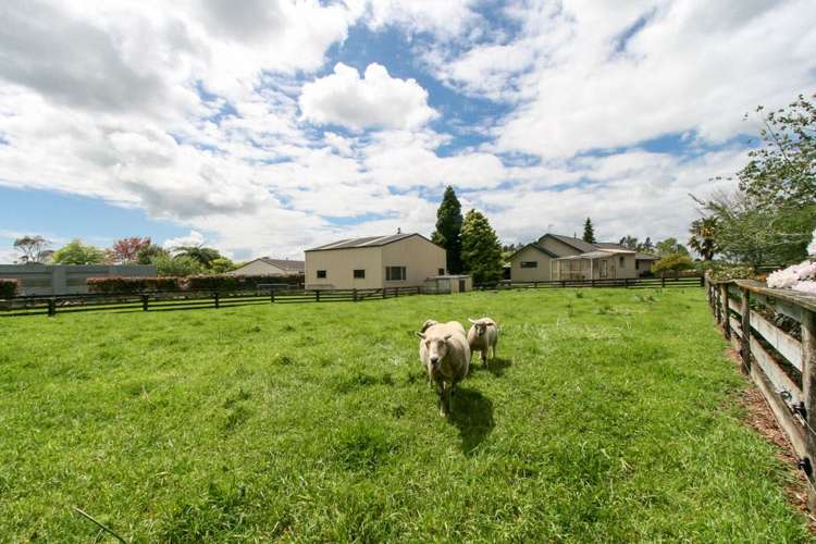 44 Maire Street Inglewood_17