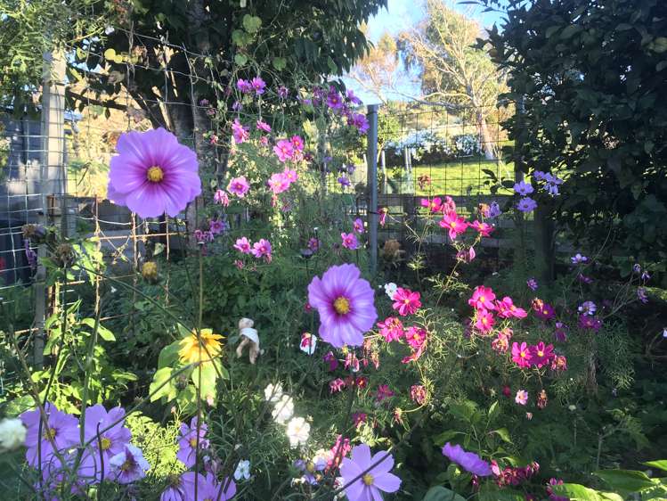 54 Tiraumea Road Pahiatua_13