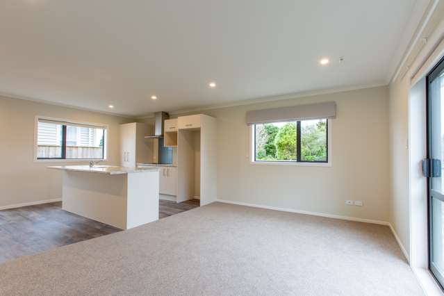 4 A Gregg Street Dannevirke_3